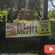 vendita frutta e verdura
